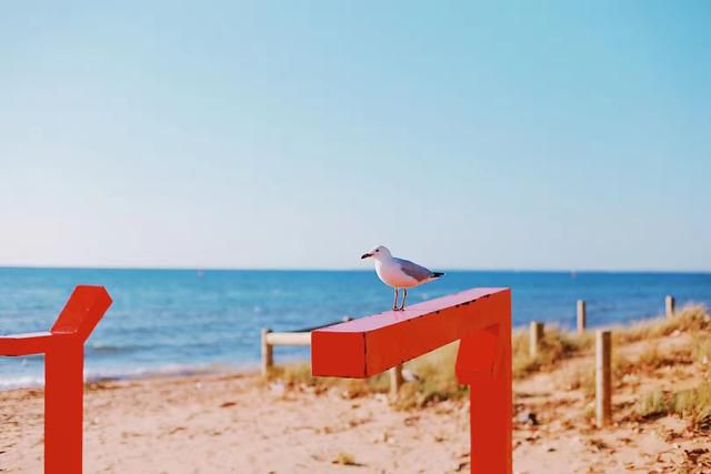 澳洲留學申請條件是什么