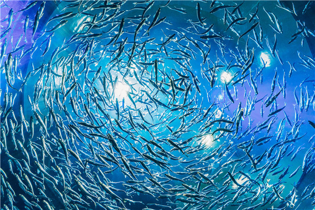 托福獨立寫作真題范文