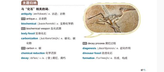 TOEFL新手必看 這4本好書為你保駕護航