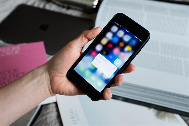 雅思大作文?解析：教育罪犯是最有效的方式