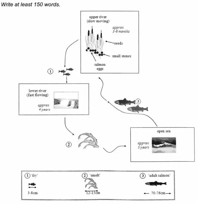 劍橋雅思真題寫作流程圖解析！高分備考看這里！