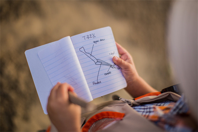 培頓學員日本名校案例？