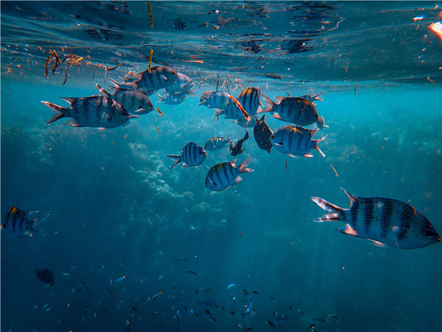 沈陽雅思學院的學習環境和設施介紹